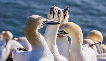 AYX体育-比赛中的心理调节术：抗压能力提升指南，比赛心理调节方法