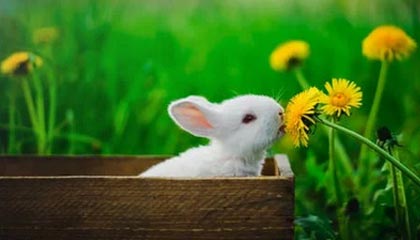 AYX体育-比赛中的心理调节术：抗压能力提升指南，比赛心理调节方法