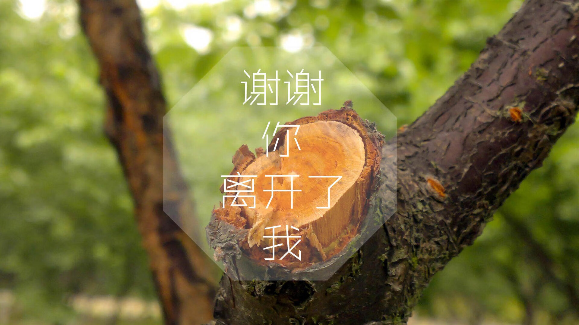 接力战术灵活多变，团队协作紧密，接力队伍