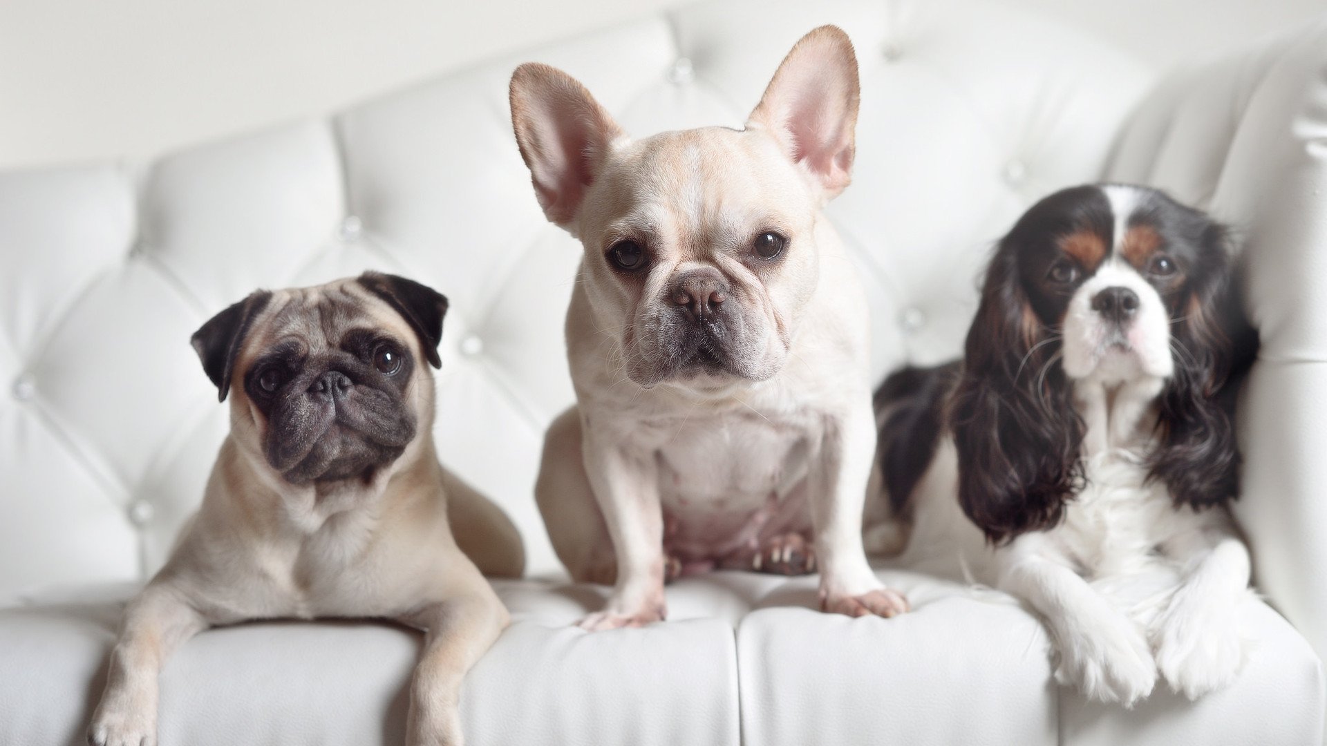 爱游戏官方-王楚钦坦言比赛中曾出现波动，王楚钦两次摔拍