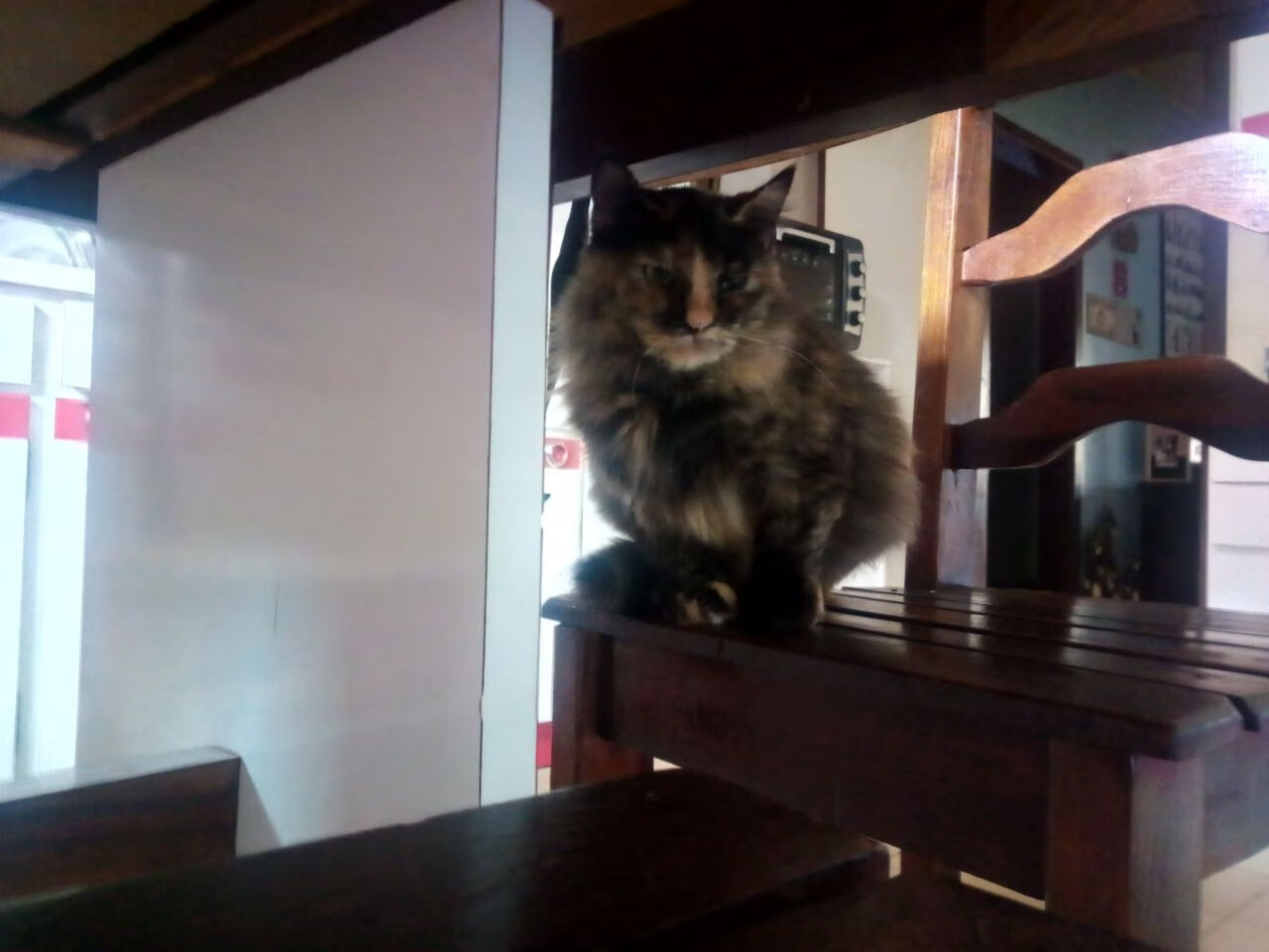 王楚钦坦言比赛中曾出现波动，王楚钦两次摔拍