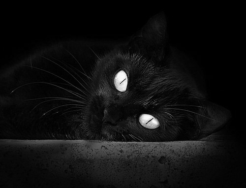 胡贝特·科斯后程加速力压群雄，胡贝尔特