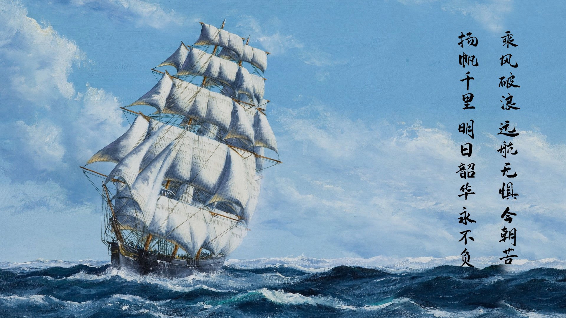 马术比赛裁判新规解读，马术比赛rt