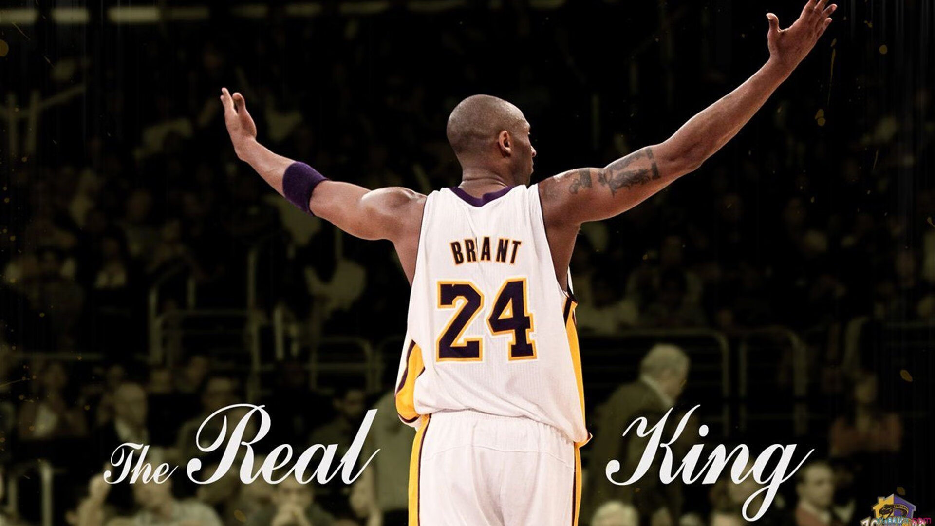 _灯光秀点亮运动场：节日体育盛典精彩纷呈_，体育馆灯光秀