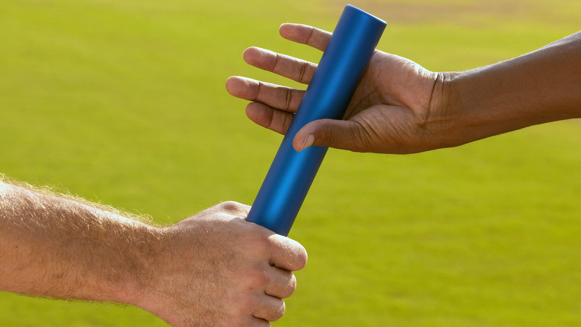 绿色行动不停步:联盟迈向全面可持续发展的新路径,绿色联盟标准